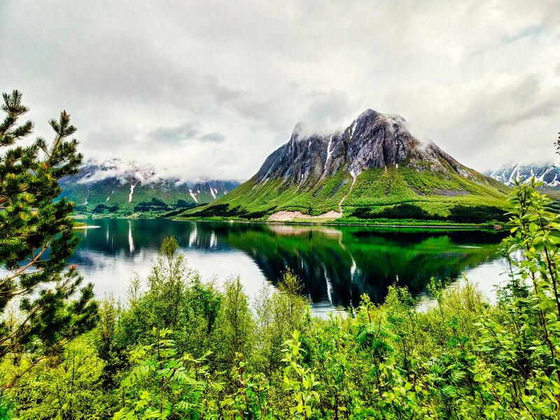 So viel Grün im Süden