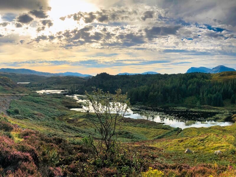 Region Assynt