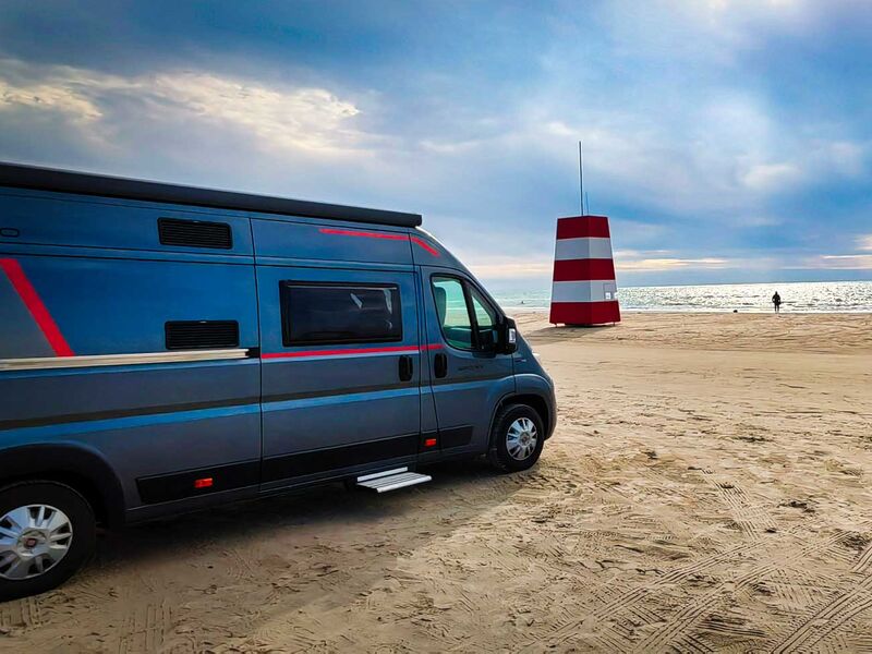 Buddy am Strand