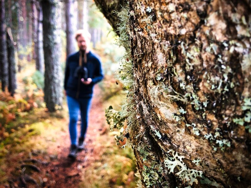 Wandern im Märchenwald