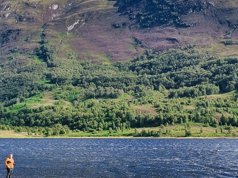 Kleine Iris, großer Berg