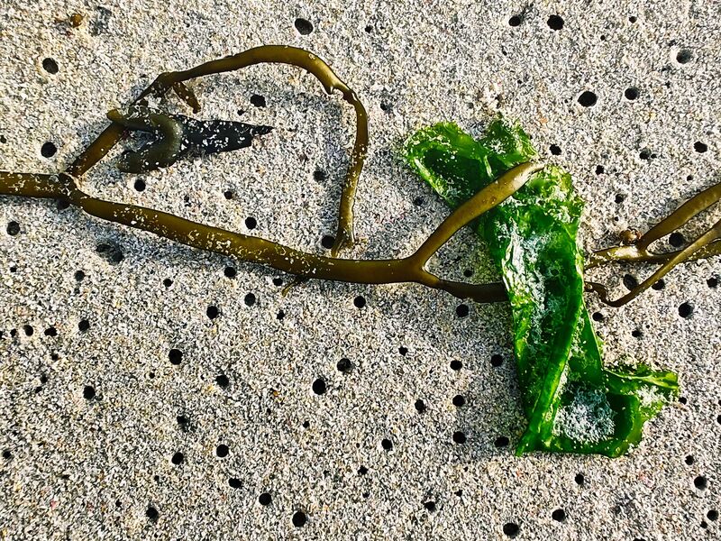 Stillleben im Sand