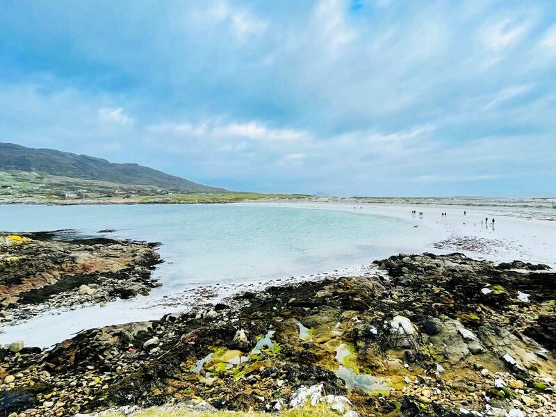 Dog Beach