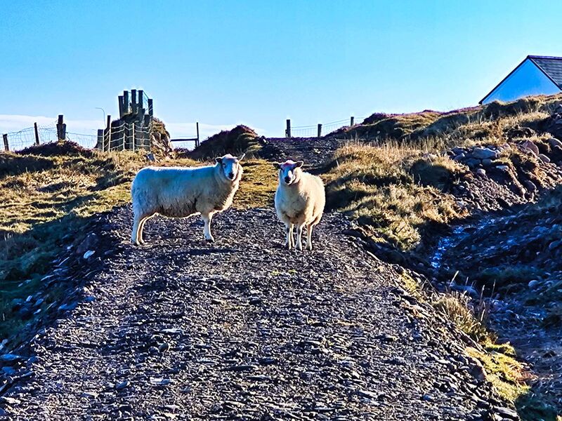 Dursey Island