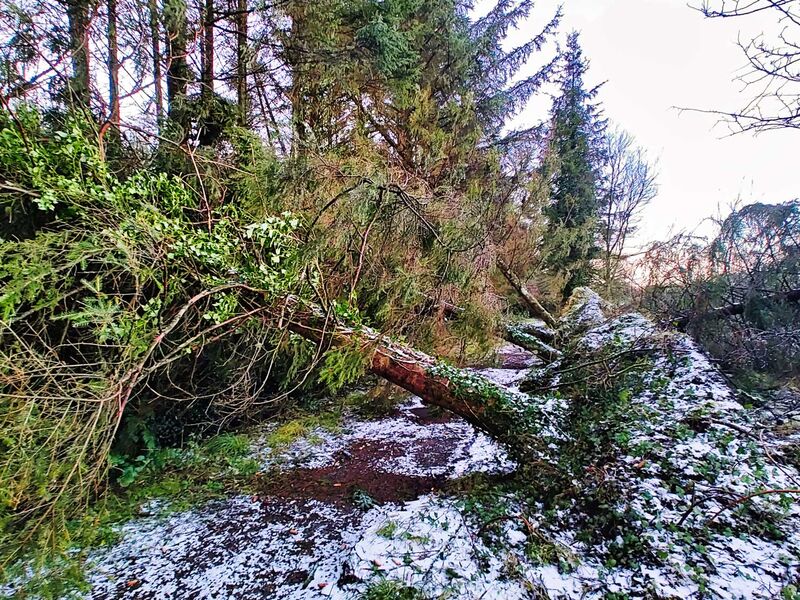 Nach dem Sturm Éowyn