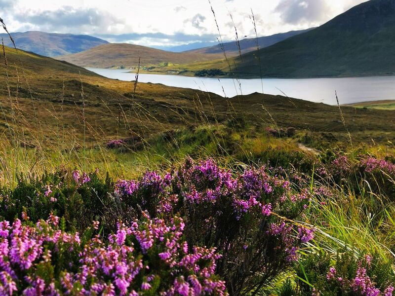 Loch Ainort