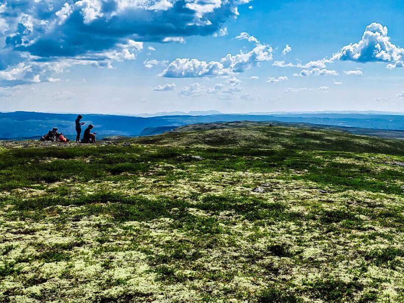 Die Bergziegen