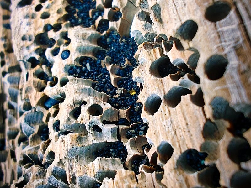 Strukturen in Island