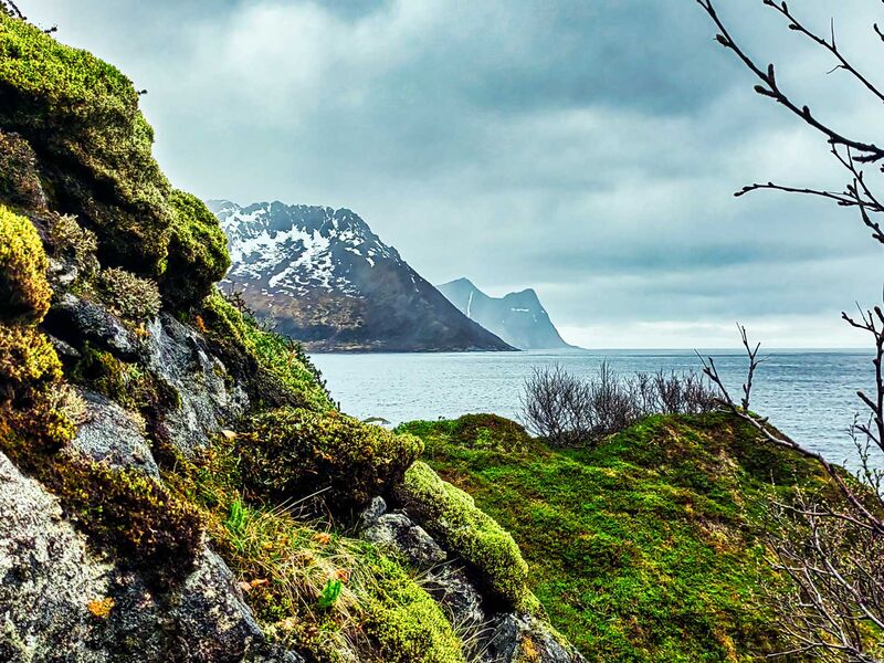 Von Fjord zu Fjord