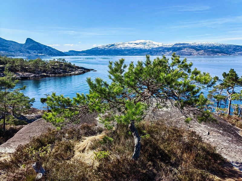 Am Hardangerfjord