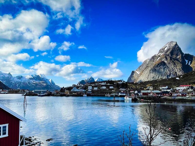 In Reine