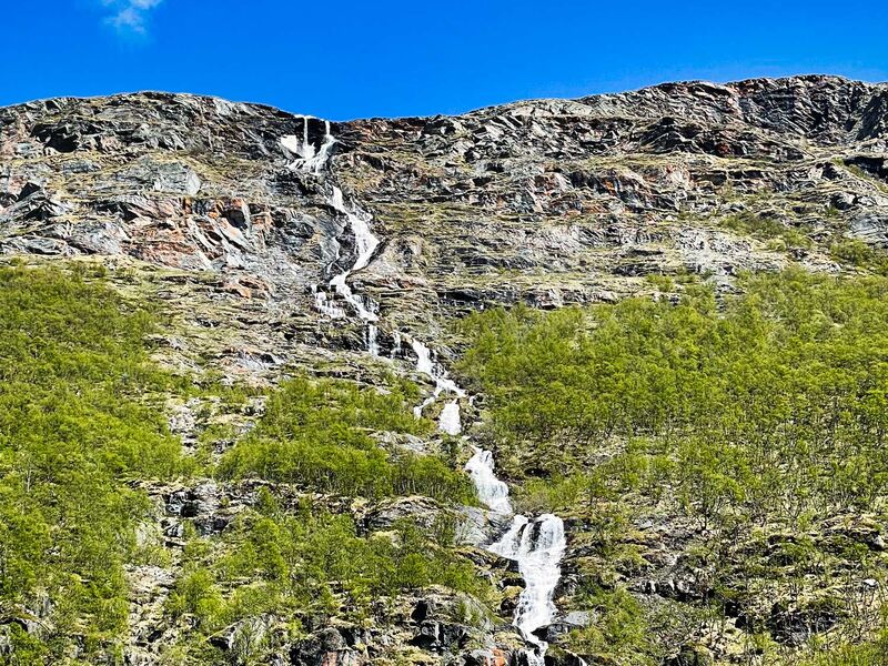 Im Dovrefjell-Nationalpark