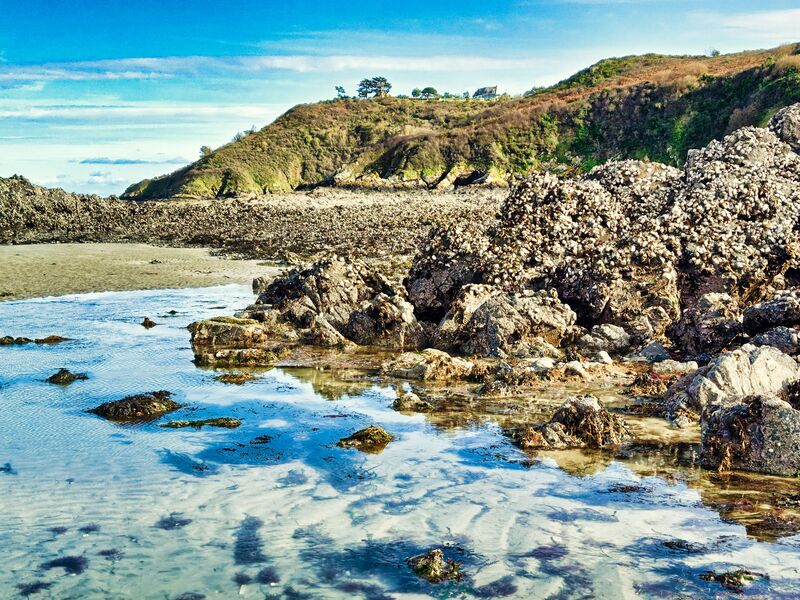 Muscheljagd in Pordic