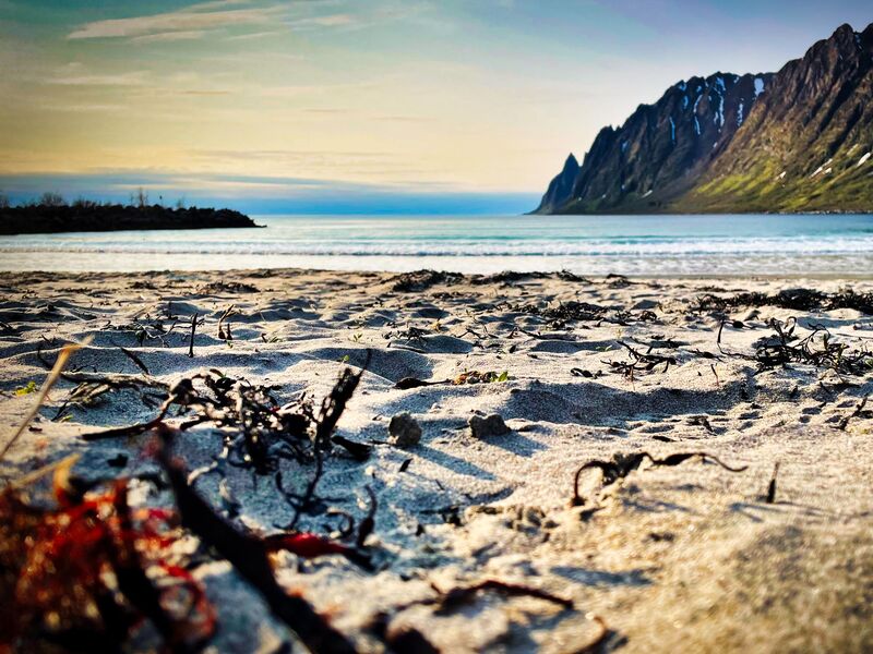 Abendsonne am Ersfjord
