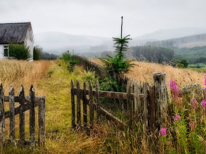 Mystischer Galloway Forest Park